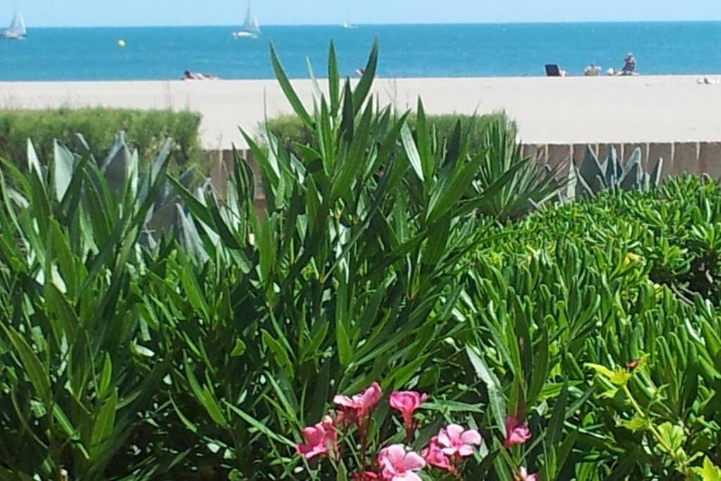 Saint-Pierre-la-Mer  Cros Mer Et Piscine מראה חיצוני תמונה