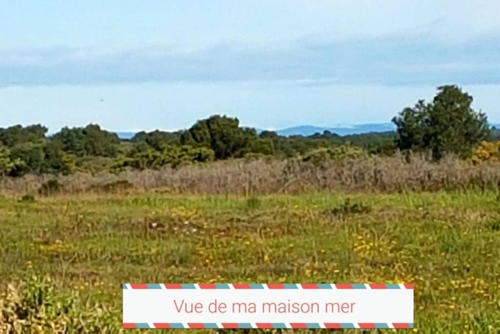 Saint-Pierre-la-Mer  Cros Mer Et Piscine מראה חיצוני תמונה